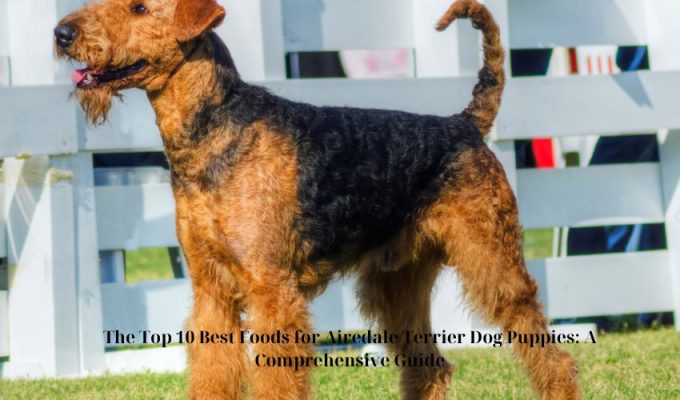 The Top 10 Best Foods for Airedale Terrier Dog Puppies: A Comprehensive Guide