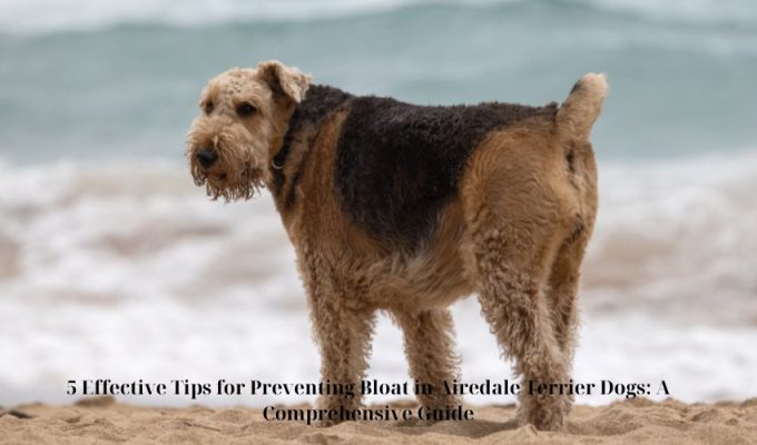 5 Effective Tips for Preventing Bloat in Airedale Terrier Dogs: A Comprehensive Guide