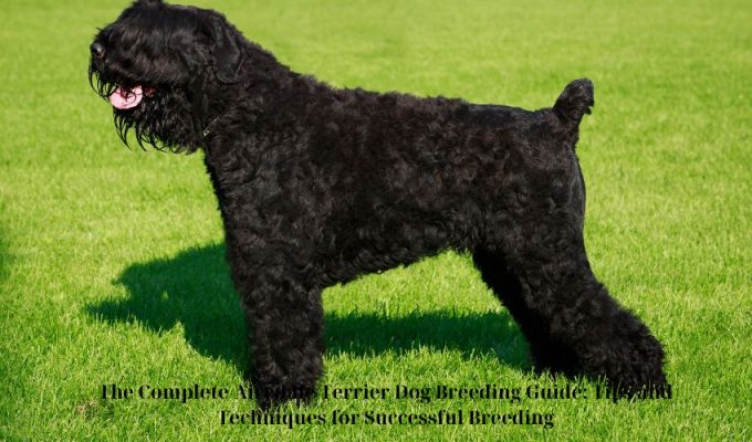 The Complete Airedale Terrier Dog Breeding Guide: Tips and Techniques for Successful Breeding