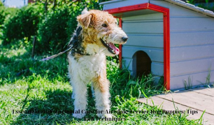 Essential Guide to Dental Care for Airedale Terrier Dog Puppies: Tips and Techniques